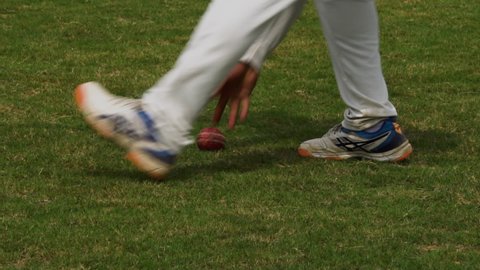 Cricket ball Picked by Player Slow Motion