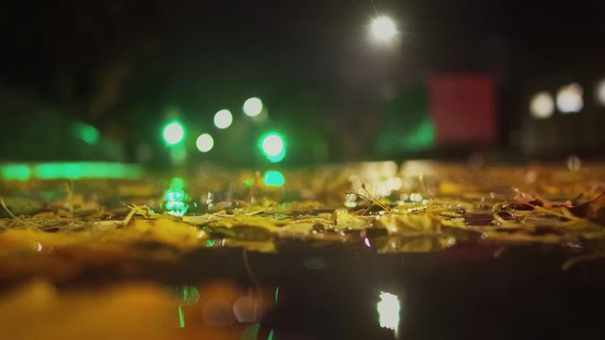 Fall. Cars drive on wet road during rain at night in autumn. Leaves fall into a puddle. Crossroad with working traffic light. Bad and dangerous weather conditions. Low angle shot