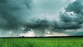 Rain Rainy Clouds Above Countryside Rural Field Landscape With Young Green Wheat Sprouts In Spring Summer Cloudy Day. Heavy Clouds Above Agricultural Field. Young Wheat Shoots 4K time-lapse, timelapse - Powered by Shutterstock - Get 15% off with code: PIKWIZARD15