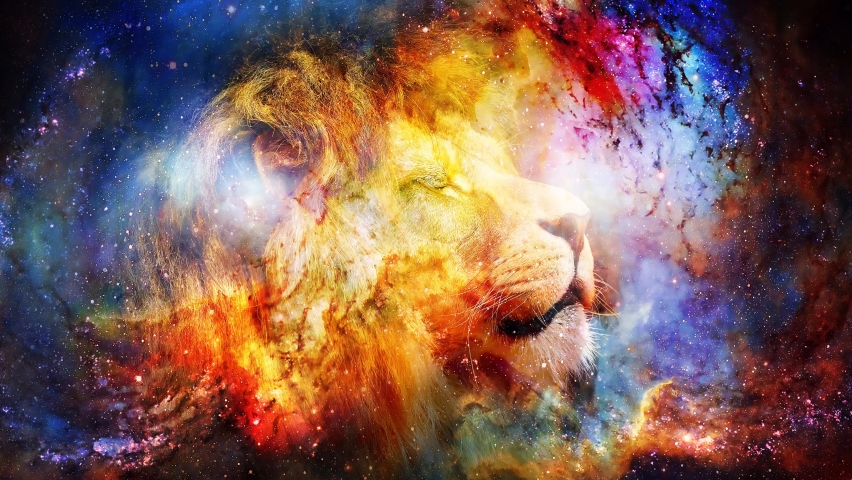lion king in cosmic space. Lion on cosmic background. Royalty-Free Stock Footage #1076798030