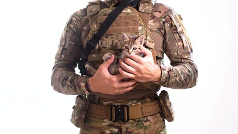 Man in combat camouflage and a bulletproof vest holds a small kitten as a sign of world peace. White background. Isolated