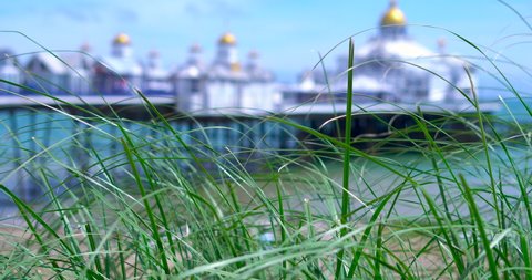 Eastbourne, East Sussex, England July 4th 2021:  Marram grasses blow in the foreground at the edge of the beach. Eastbourne Palace Pier can be seen in the distance with bokeh effect against a blue sky
