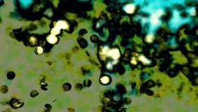 Abstract colurful 4k video background of green, blue, yellow and black colors