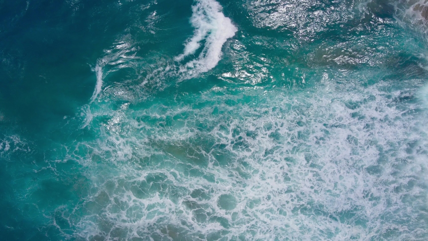 Shutterstock Video