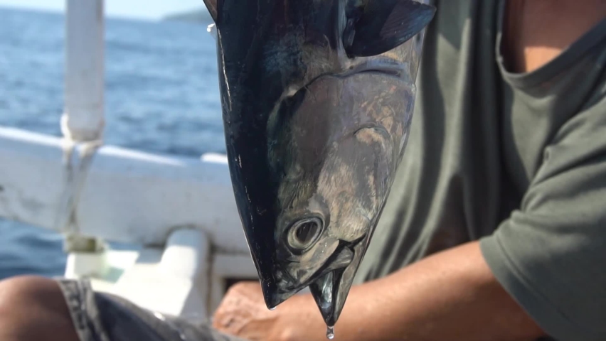 a fish caught by fishermen is being shown
