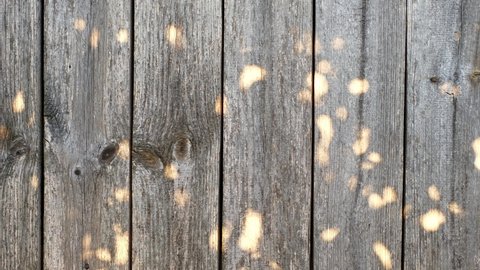 Natural unpainted wooden old plank gray background with glare from the sun. The wooden floor is made of boards , aged by time. Damage to unpainted wood from the influence of external natural factors