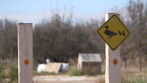 A yellow duck crossing sign on a white post as seen from this telephoto lens.  A sunny day in Tornillo, Texas showing the landscape and city b-roll.