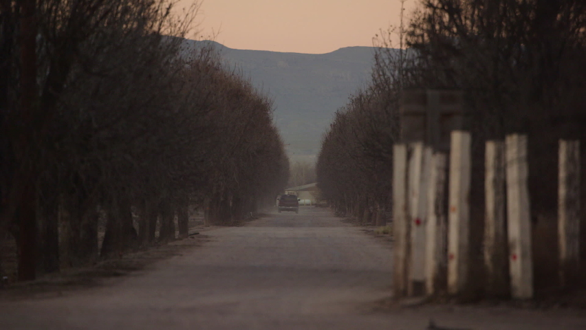 A truck drives away on a dusty road at a pecan tree ranch in Tornillo, Texas on a sunny day.  Trees and mountains are in the background of this rural border-town near Mexico during a sunrise pink sky.