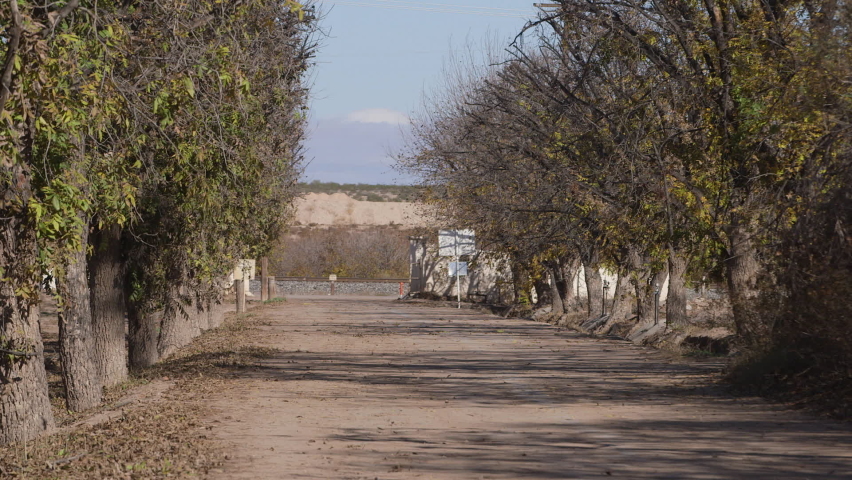 A long driveway at a pecan tree ranch in Tornillo, Texas as a train goes by with cars on a highway.  Dusty grounds, trees, and mountains are in the background of this rural border-town near Mexico.