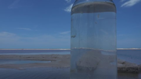 Krill and Zooplankton in a bottle with the Las Coloradas Pink Lagoon water. Yucatan, Mexico