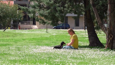 Cheerful lady with sunglasses plays with friendly dachshund puppy sitting on field of blooming chamomiles ON nice spring day