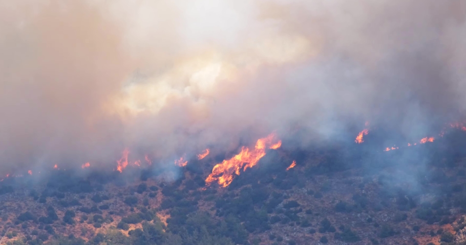Breaking news and topics: Dangerous burning flame tongues and smoke of fire covering a mountain. Disaster background with copy space. Ecological global warming and climate change  destruction | Shutterstock HD Video #1076894741