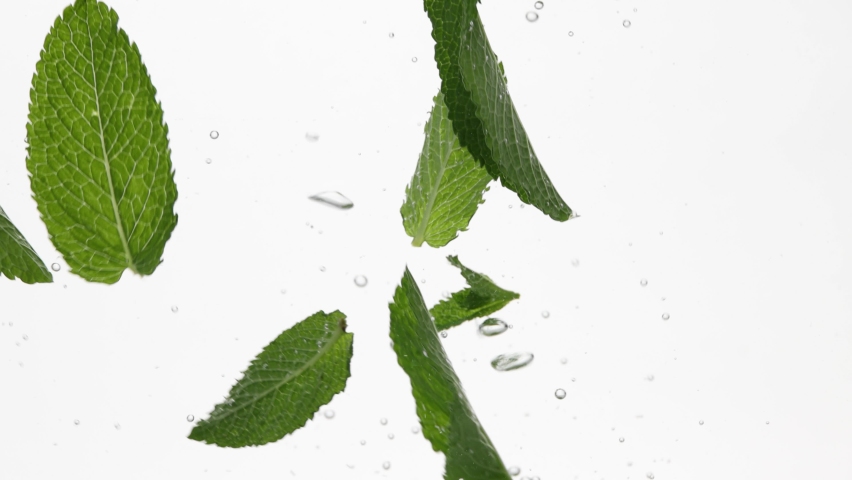 Close up many fresh green mint leaves in water with air bubbles, isolated on white background, low angle, side view, slow motion Royalty-Free Stock Footage #1076898242