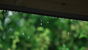 Raindrops falling from wooden roof canopy. Downpour in countryside. Humid climate. Season of autumn precipitation. Calming green background in slow motion. - Powered by Shutterstock - Get 15% off with code: PIKWIZARD15
