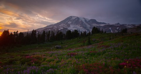 Sunset Time Lapse with Wildflowers, Mount Rainier as seen from Paradise, Washington