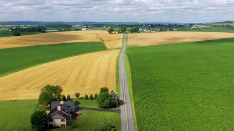 Rising aerial. Road cuts through American farmland. Summer fields of wheat, grain, green alfalfa hay. Beautiful rolling hills, cloud shadows.