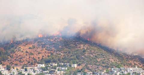 Breaking news and topics: Flames and smoke from wildfires cover the landscape. Clouds of smoke from bush fire blew into the suburbs of Bodrum, making it look like an apocalyptic landscape. 