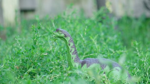 One plastic dinosaur is walking on a background of green grass. Ancient animals. Selective focus