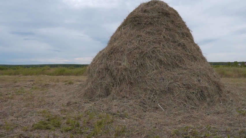 A man on a bicycle stops near a haystack in a field to take a break and relax. He Climbs Off The Bicycle, Leans It On A Haystack, and takes off His Backpack