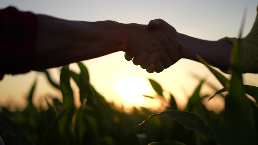 Agriculture. two farmers sunlight shake hands, conclude a business contract for a corn field. agriculture sale harvest concept. business handshake of farmers in a corn field. shake hands agriculture | Shutterstock HD Video #1076958839