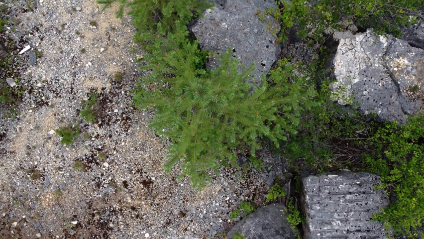 Abandoned Stone quarry in the forest