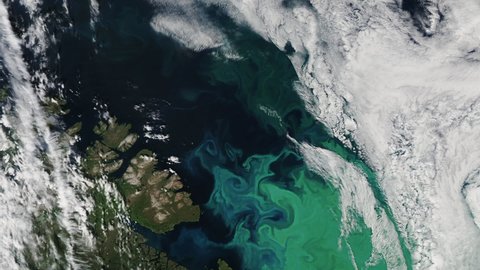 Phytoplankton blooms on sea surface spectacular rotating animation, Barents sea aerial satellite view. Based on image furnished by Nasa