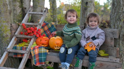 Funny children are sitting on a wooden bench in the garden playing with Halloween pumpkin. Preparation for celebration. happy halloween concept