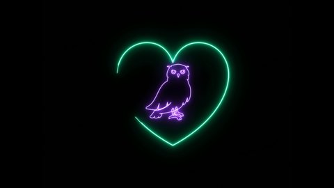 Owl logo and heart neon lighting on black background. 4K Video motion graphic
