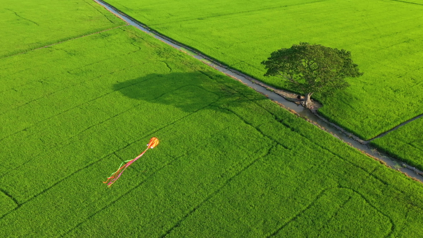 Summer season in vietnam Stock Video Footage - 4K and HD Video Clips ...