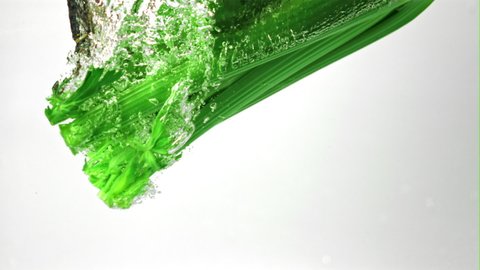 Super slow motion fresh celery falls under the water with air bubbles. On a white background.Filmed on a high-speed camera at 1000 fps. High quality FullHD footage