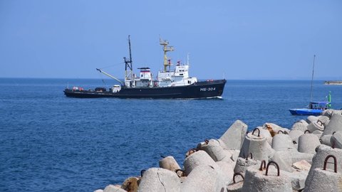 Russia, Sevastopol - July 21, 2021: Seagoing salvage tug (or wrecking tug) MB-304 sails by the coast of Sevastopol bay. Black sea with blue water. Clear sky. Rescue and salvage ship.
