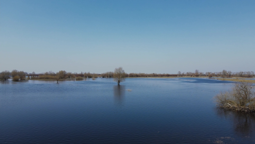 Flooded trees during a period of high water. Trees in water. Landscape with spring flooding of Pripyat River near Turov, Belarus.