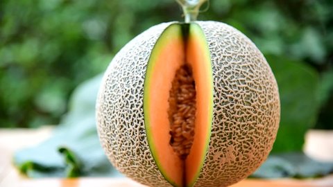 Closeup to fresh turn around orange melon on the plate
