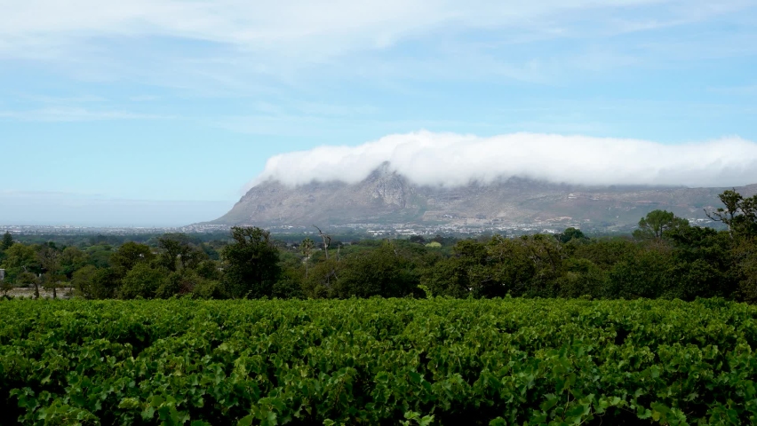Time lapse of rolling clouds over table top mountain in the city of Cape Town, South Africa. Overlooking Vineyards