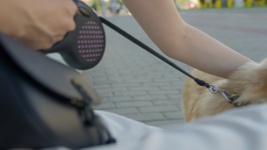 Dog walker strides with his pet
