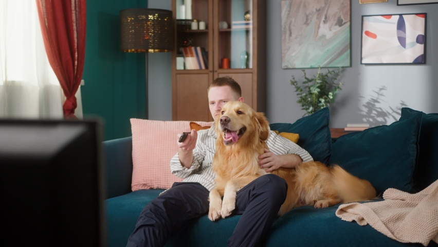 British redhead young man watching TV show program with his retriever dog, sitting on sofa together with pet, student petting his happy domestic animal puppy. Royalty-Free Stock Footage #1077032087