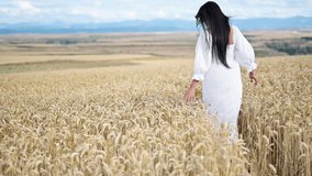 Back view of a woman in a white dress walking along a field of ripe wheat touching the grain gently. High quality 4k footage