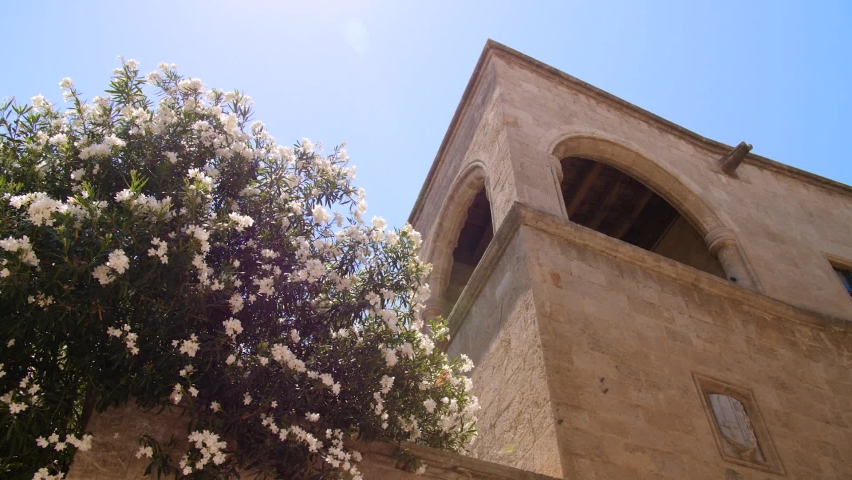 Orleander Bush in Rhodes City Greece