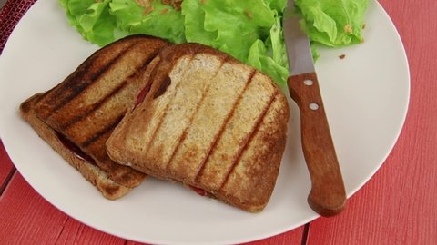 sandwich "croque-monsieur" on a plate