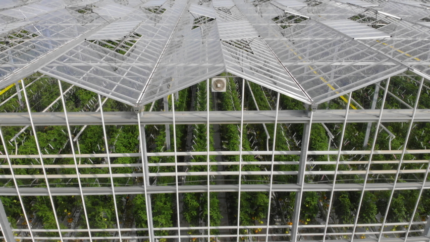 Aerial View Flying Over Large Greenhouse With Vegetables, Greenhouse With Transparent Glass Roof. Modern High-tech Greenhouse View From Above. Aerial View Large Industrial Technology Greenhouses. Royalty-Free Stock Footage #1077055649
