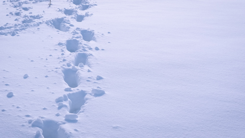 Deep footprints in the snow. A view of deep footprints in the snow in the day park.
