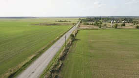A flock of birds flies in front of the quadcopter camera. Bird's-eye view of a small country road. Warm, clear, summer day. Transport communication and logistics concept. UHD 4K.