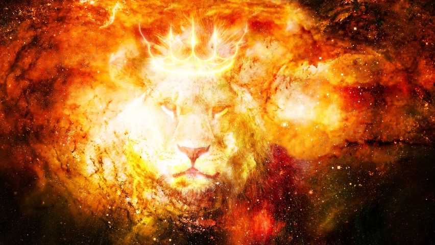 lion in cosmic space. Lion on cosmic background. Royalty-Free Stock Footage #1077083396