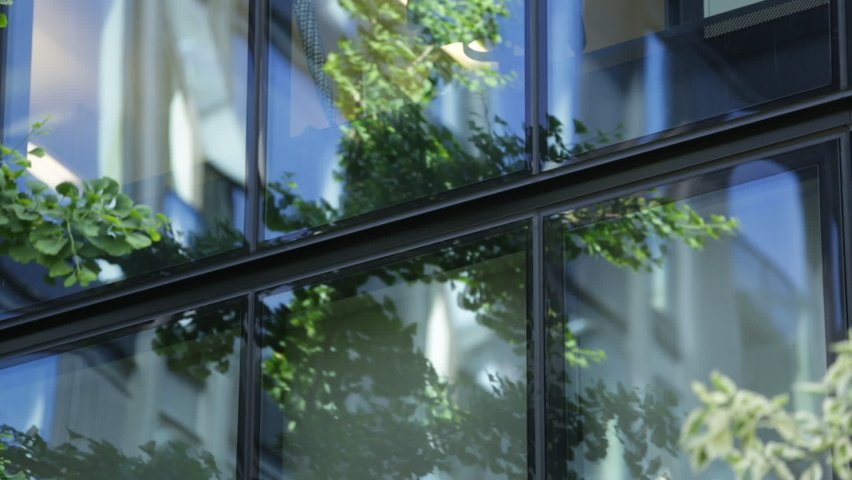 Contemporaty architecture merged with nature. Corporate modern building facade with tree branches in front and reflecting in glass windows. Close up shot, panning left. 