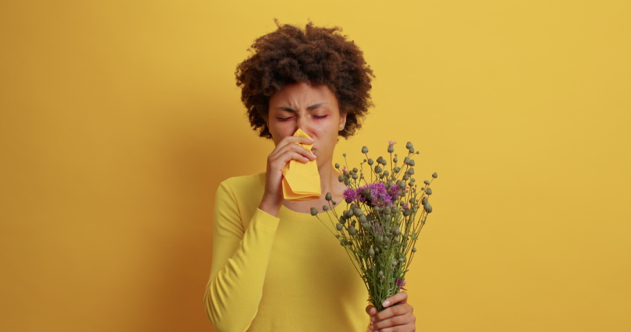 Sick Afro American woman suffers from allergic rhinitis holds bouquet of wildflowers paper tissue has seasonal allergy has red swelling eyes isolated over yellow background. Unpleasant symptoms Royalty-Free Stock Footage #1077088517