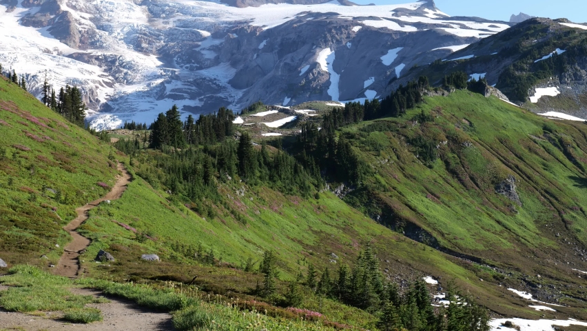 Cinematic 4K pan shot of the alpine meadows, glaciers and flowering slopes of the Alta Vista Trail of the Paradise area on Mount Rainier in Mount Rainier National Park in Washington Royalty-Free Stock Footage #1077101738