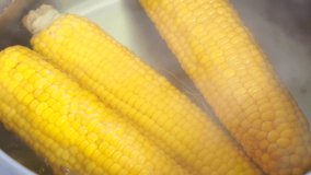 Pan with boiling corn in hot water. Yellow cobs of fresh corn in boiling water. Video 4k resolution