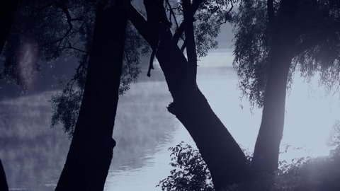 Filtered 4k stock video footage of beautiful dramatic spooky misty landscape. Clouds of white fog rolling flying over surface of water of river behind silhouettes of old black trees growing on shores