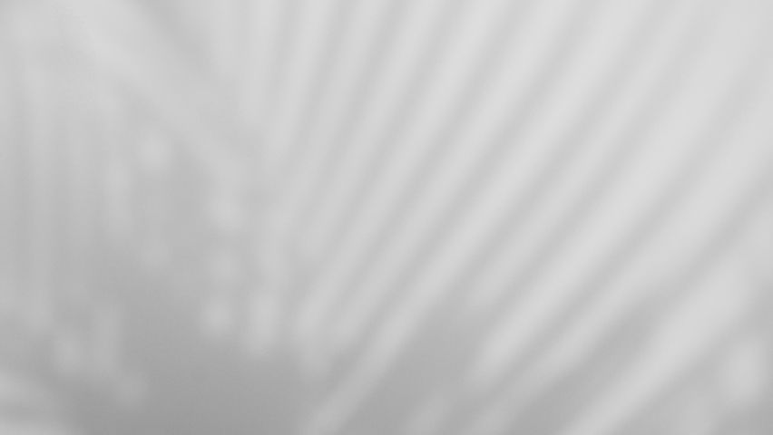 Summer concept the motion of leaves sunlight natural shadow overlay on white texture background, for overlay on product presentation, backdrop and mockup