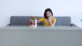 A young Asian woman watching a movie in the living room with a Shiba Inu dog.